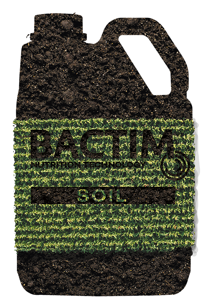 bactim intermag